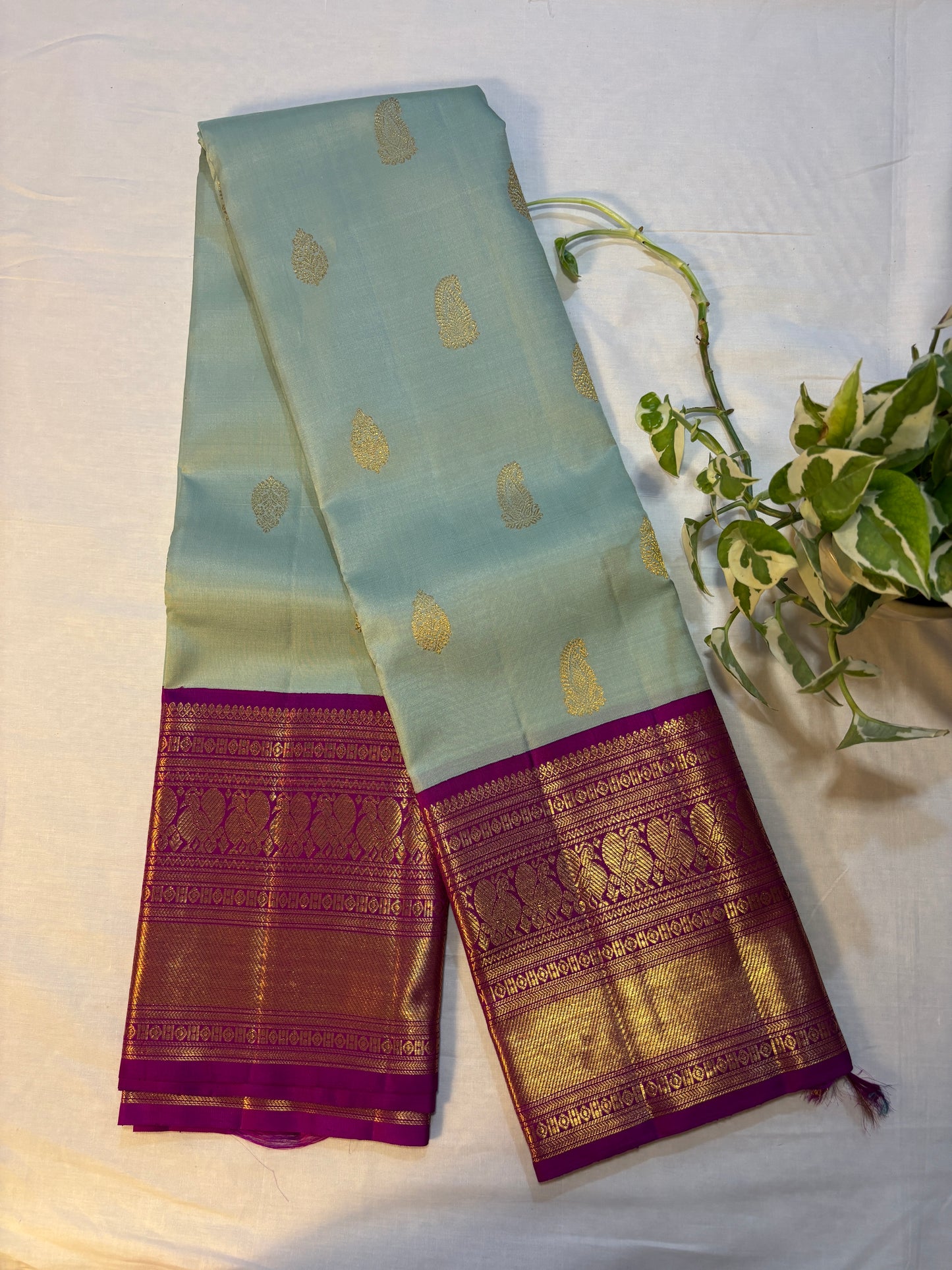 Kajivaram Silk Saree (pastel blue)